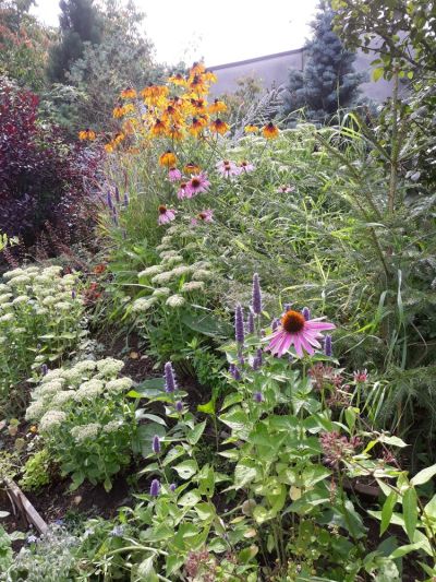 20210822_130542 20210822_130542