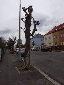 20220419_111219 20220419_111219