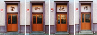 420093292_355808630737399_8289816131425863258_n