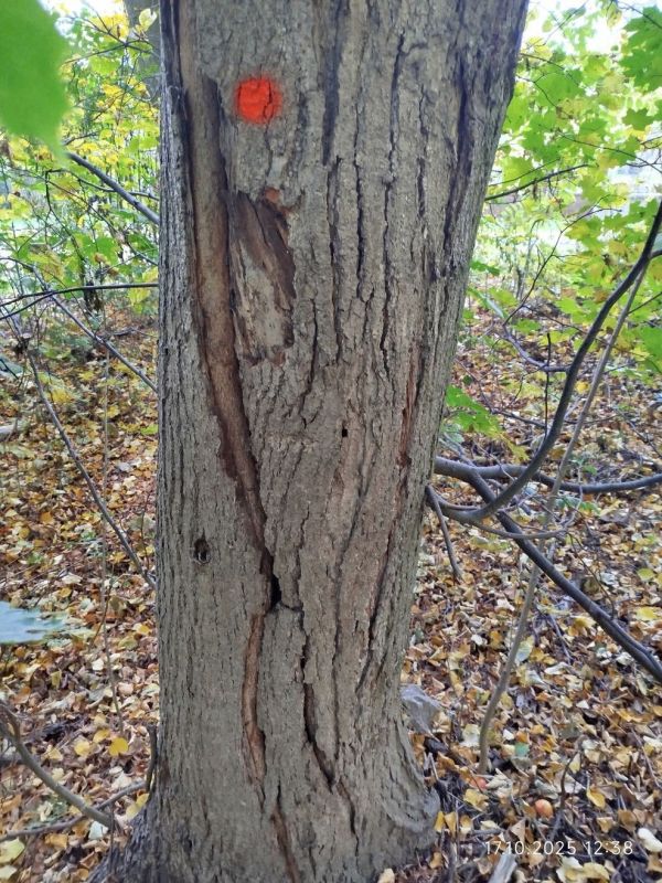 Homolka17-10-2025_2__fotoLucieZEMANOVÁ