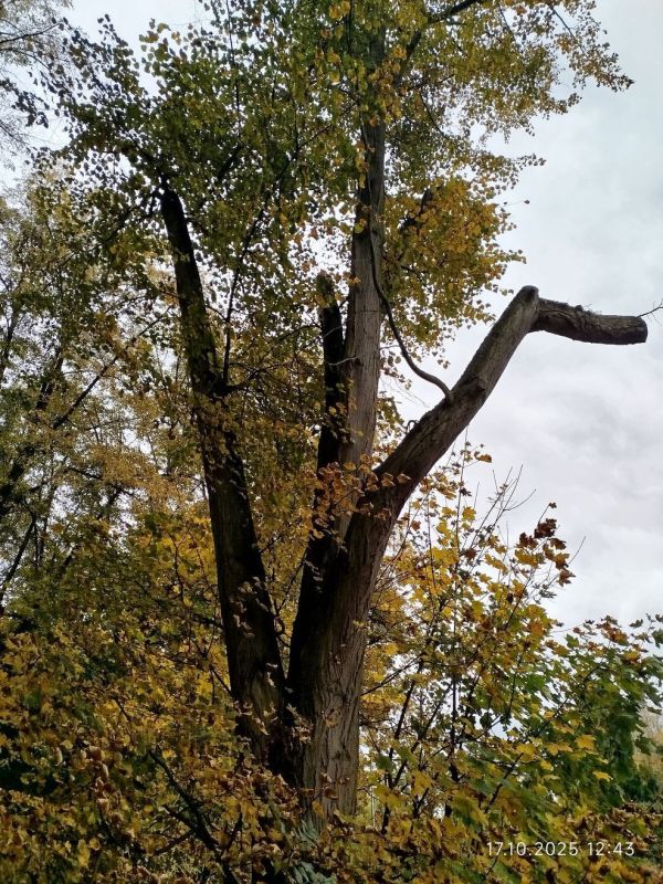 Homolka17-10-2025_fotoLucieZEMANOVÁ