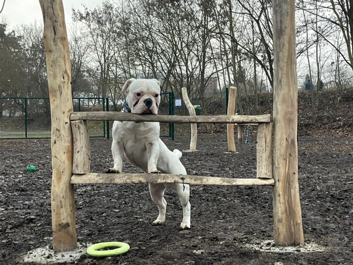 IMG-20220116-WA0056 IMG-20220116-WA0056