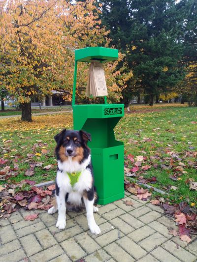 IMG_20231102_101221~2