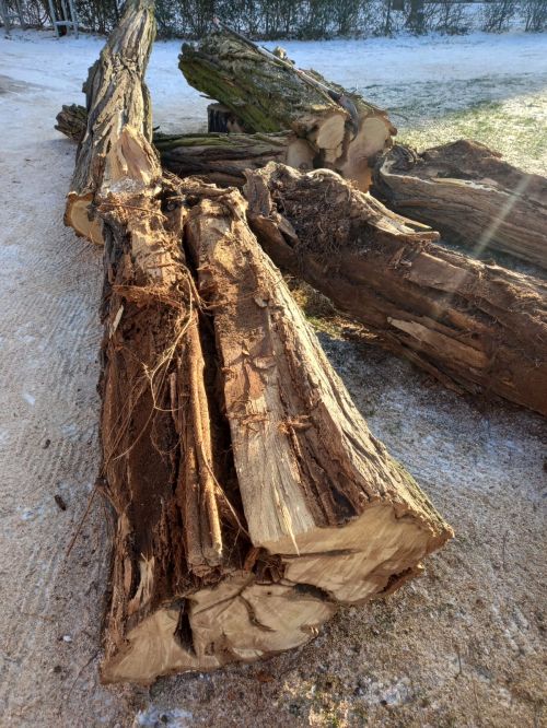 IMG-20240119-WA0000 IMG-20240119-WA0000