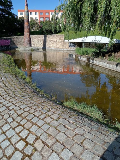 IMG_20240520_174125 IMG_20240520_174125