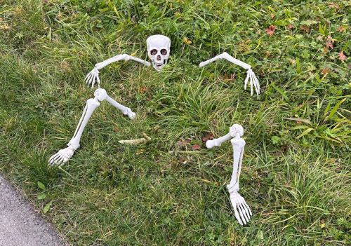 IMG-20241021-WA0010_K IMG-20241021-WA0010_K