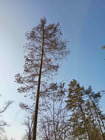 IMG_20250205_132811 IMG_20250205_132811