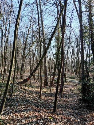 IMG_20250205_134112 IMG_20250205_134112