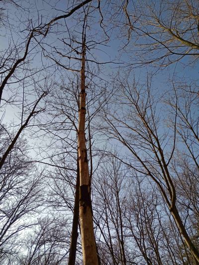 IMG_20250205_134858 IMG_20250205_134858