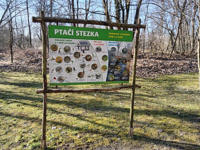 IMG_20250302_104508 IMG_20250302_104508