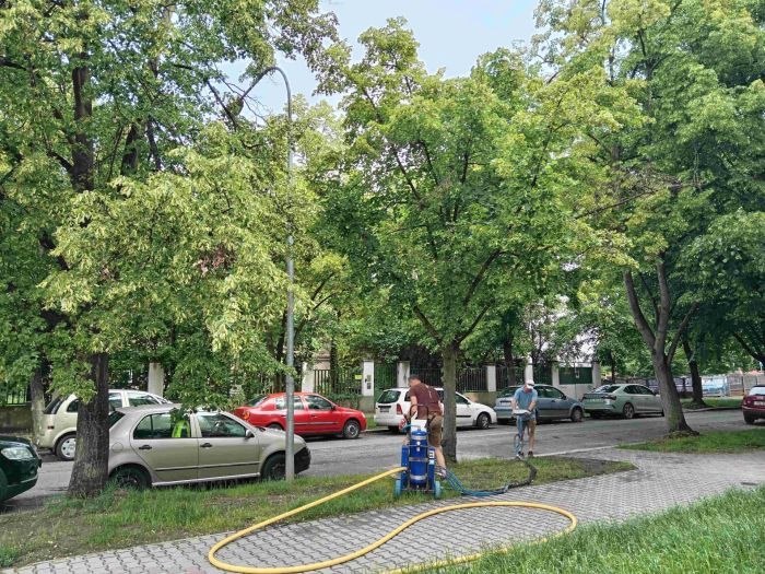 IMG_20250605_093324 IMG_20250605_093324