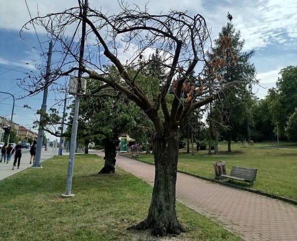 IMG_20250828_141705_fotoLucieZEMANOVÁ