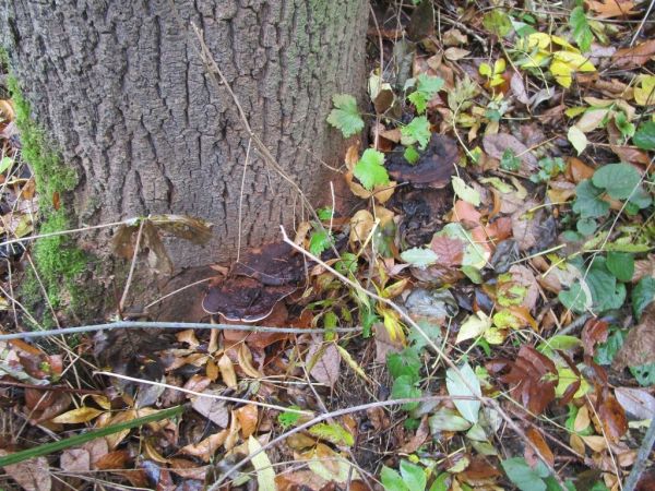 IMG_5527_fotoNinaMYSLÍKOVÁ