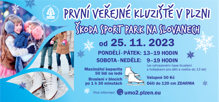 kluziště kluziště